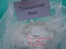 Testosterone Base 58-22-0 Sh-Ts001